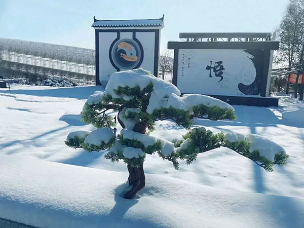 福山墓园环境